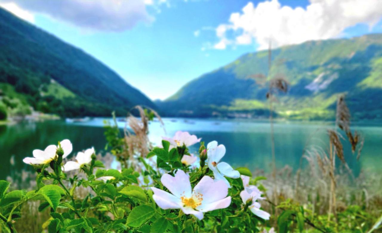 Emozioni Al Lago Farra d'Alpago Eksteriør billede